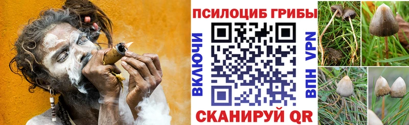 Галлюциногенные грибы Cubensis  Купить  Фатеж 
